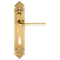 Дверная ручка TERNI (Терни) 320 на планке PL02 KEY полированная латунь F01
