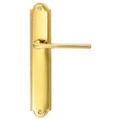 Дверная ручка TERNI (Терни) 320 на планке PL03 полированная латунь F01