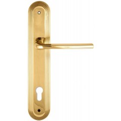 Дверная ручка TERNI (Терни) 320 на планке PL05 CYL полированная латунь F01