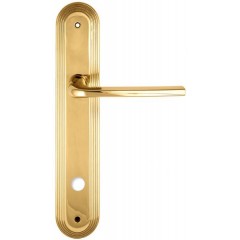 Дверная ручка TERNI (Терни) 320 на планке PL05 WC полированная латунь F01