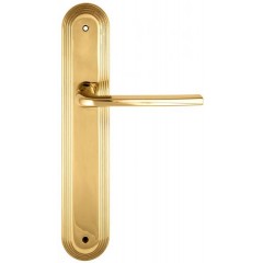 Дверная ручка TERNI (Терни) 320 на планке PL05 полированная латунь F01
