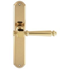 Дверная ручка VERONIKA (Вероника) 325 на планке PL01 полированная латунь F01